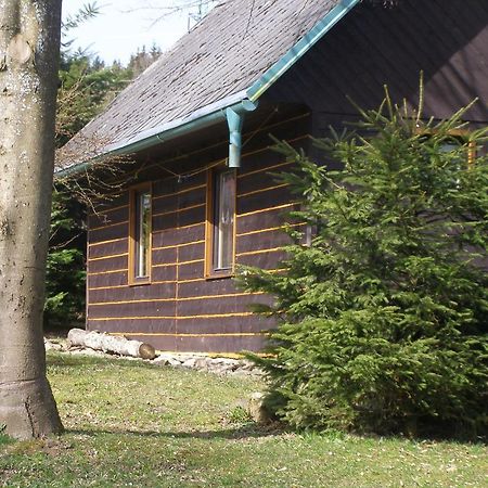 Chata Dvorecna Villa Loučovice Buitenkant foto
