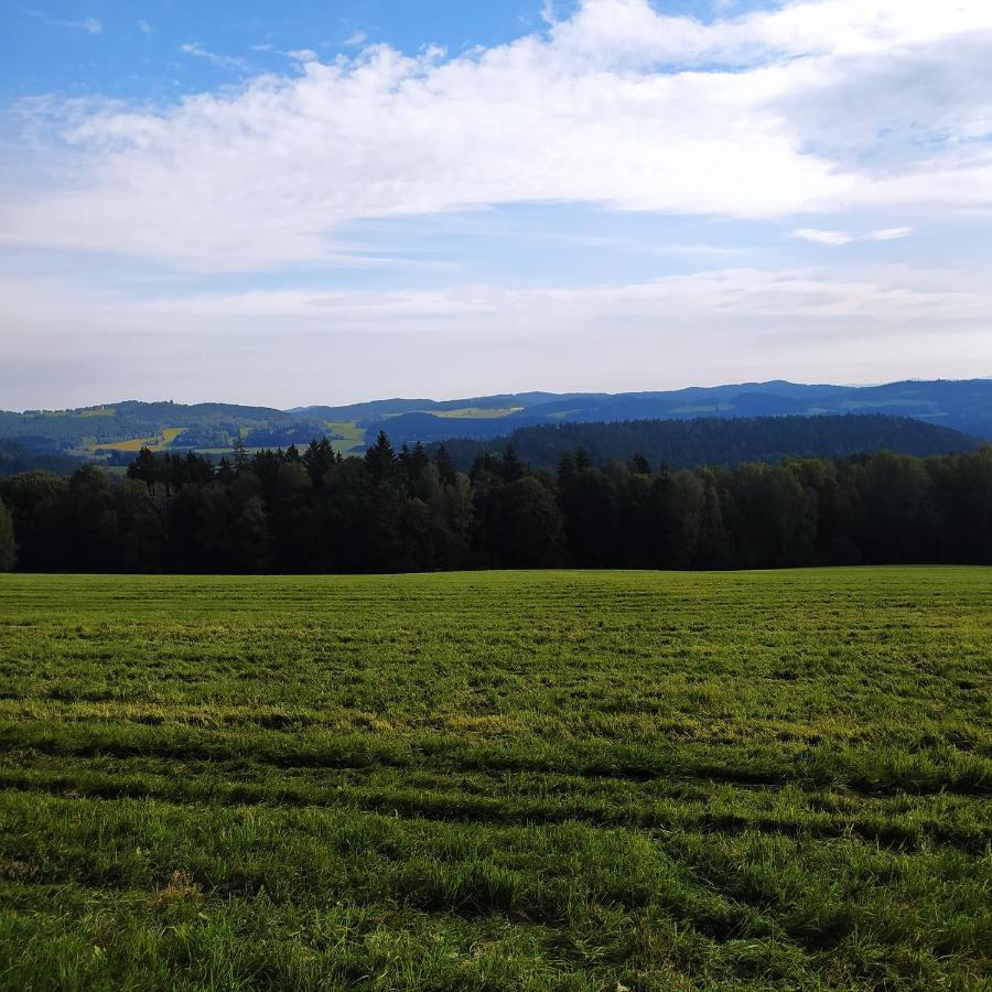 Chata Dvorecna Villa Loučovice Buitenkant foto