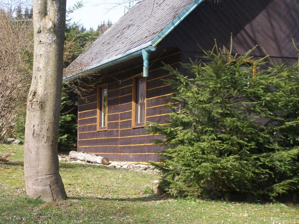 Chata Dvorecna Villa Loučovice Buitenkant foto