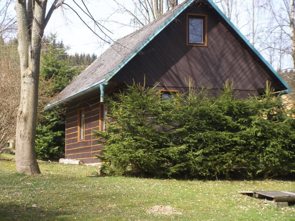 Chata Dvorecna Villa Loučovice Buitenkant foto