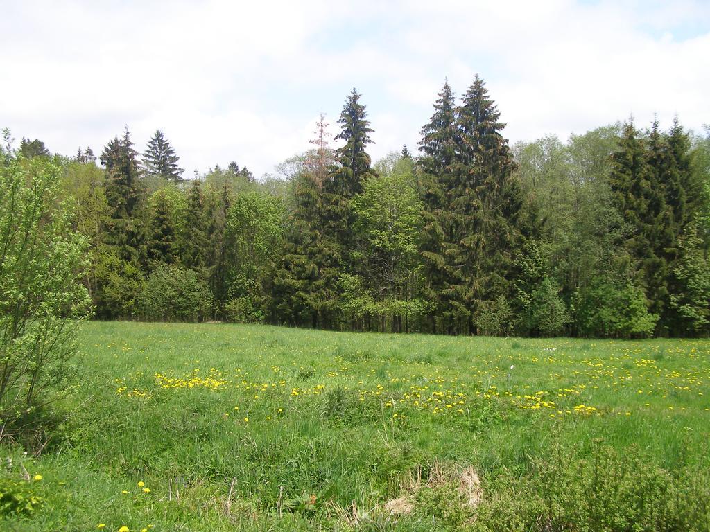 Chata Dvorecna Villa Loučovice Buitenkant foto