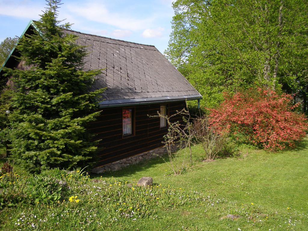 Chata Dvorecna Villa Loučovice Buitenkant foto