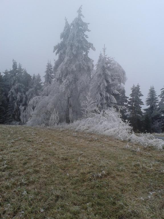 Chata Dvorecna Villa Loučovice Buitenkant foto