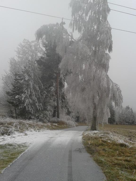 Chata Dvorecna Villa Loučovice Buitenkant foto