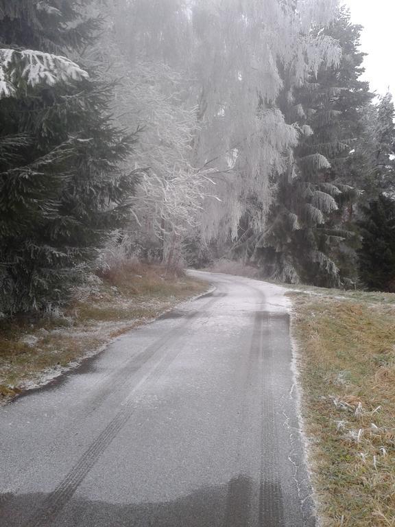 Chata Dvorecna Villa Loučovice Buitenkant foto