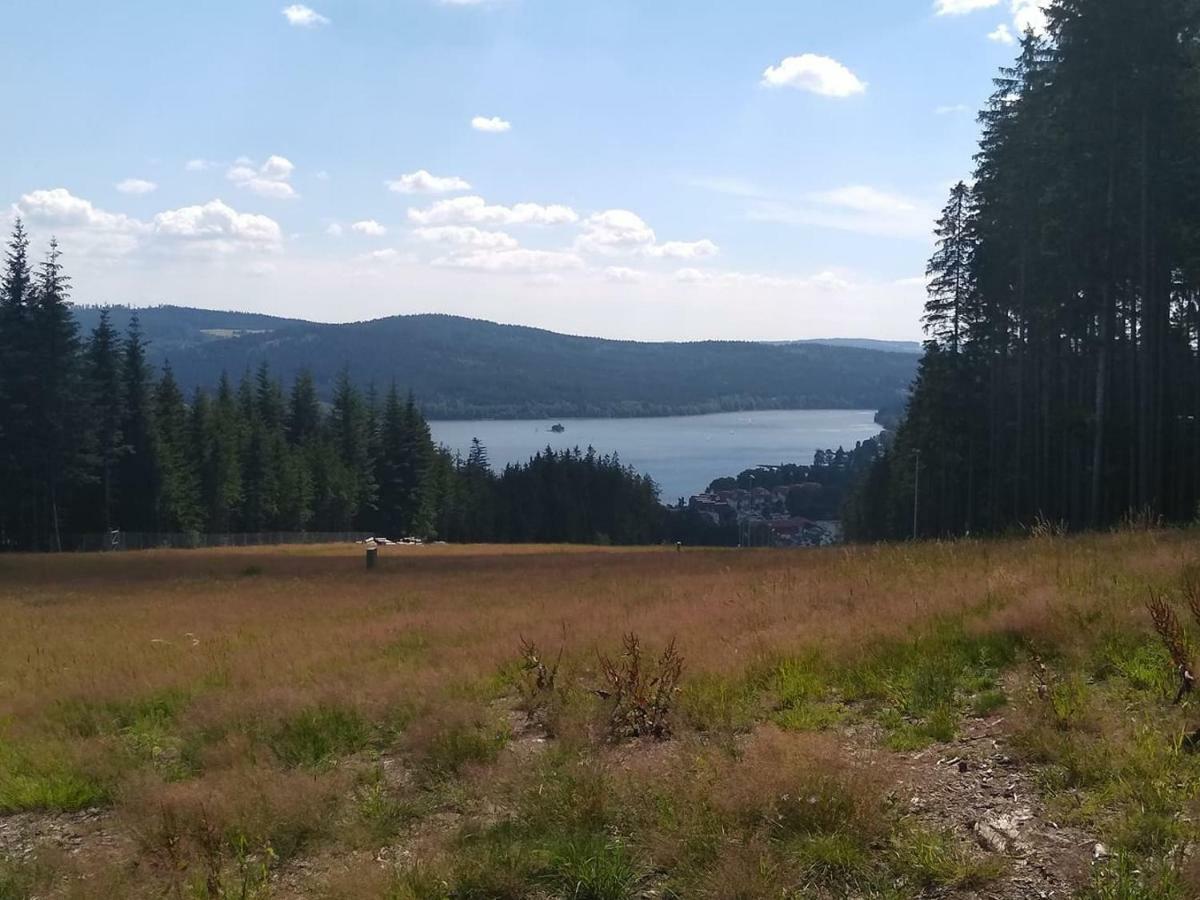 Chata Dvorecna Villa Loučovice Buitenkant foto